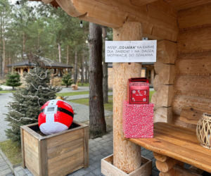 Żywa szopka w Lipowicy – magiczne święta tuż obok Kielc