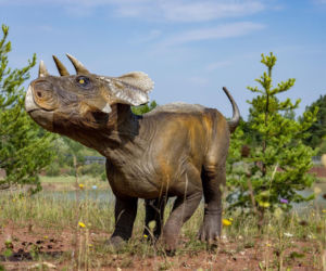JuraPark Krasiejów na Opolszczyźnie