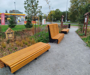 Park kieszonkowy w Siedlcach przy ul. Brzeskiej