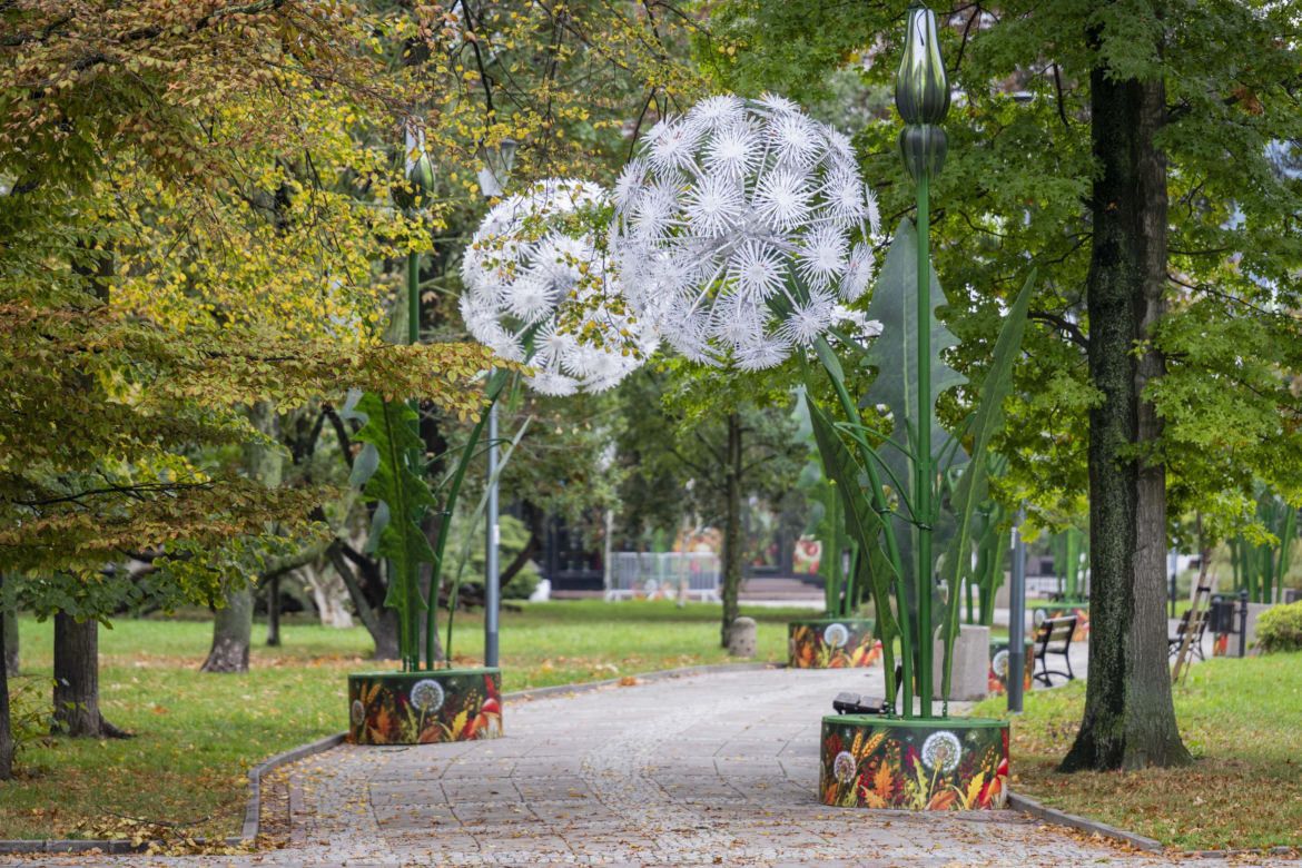 Iluminacja w Parku Świętokrzyskim. Wygląda pięknie