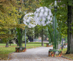 Iluminacja w Parku Świętokrzyskim. Wygląda pięknie
