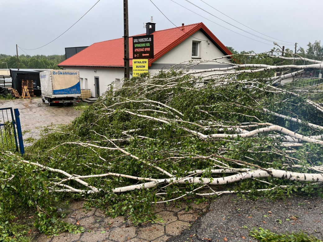 Pożary, połamane drzewa  i zalane posesje. To był pracowita noc strażaków z woj. lubelskiego