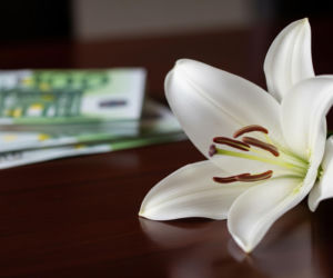 Zasiłek pogrzebowy w górę. Jakie zmiany czekają?