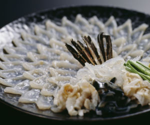 Ryba fugu