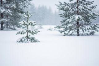 Ferie zimowe 2026. Uczniowie z tych regionów ucieszą się z zimowej aury.