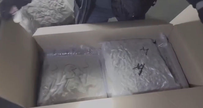 Policja przejęła 49 kg marihuany