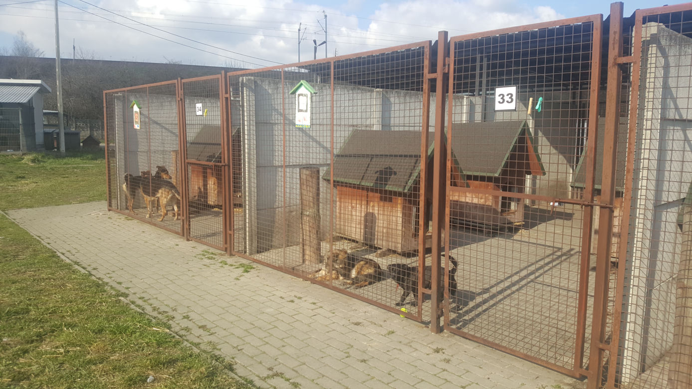 1% zostaw w mieście. Ruda Śląska zachęca do zapisywania 1% lokalnym organizacjom