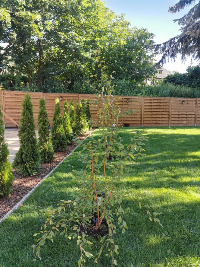 Ogród po metamorfozie