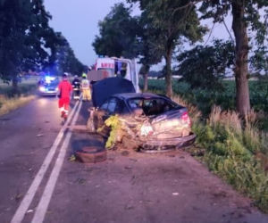 Mystkowo. Pięć osób otarło się o śmierć! 17-latek wypadł z mitsubishi i zabrała go karetka [ZDJĘCIA]
