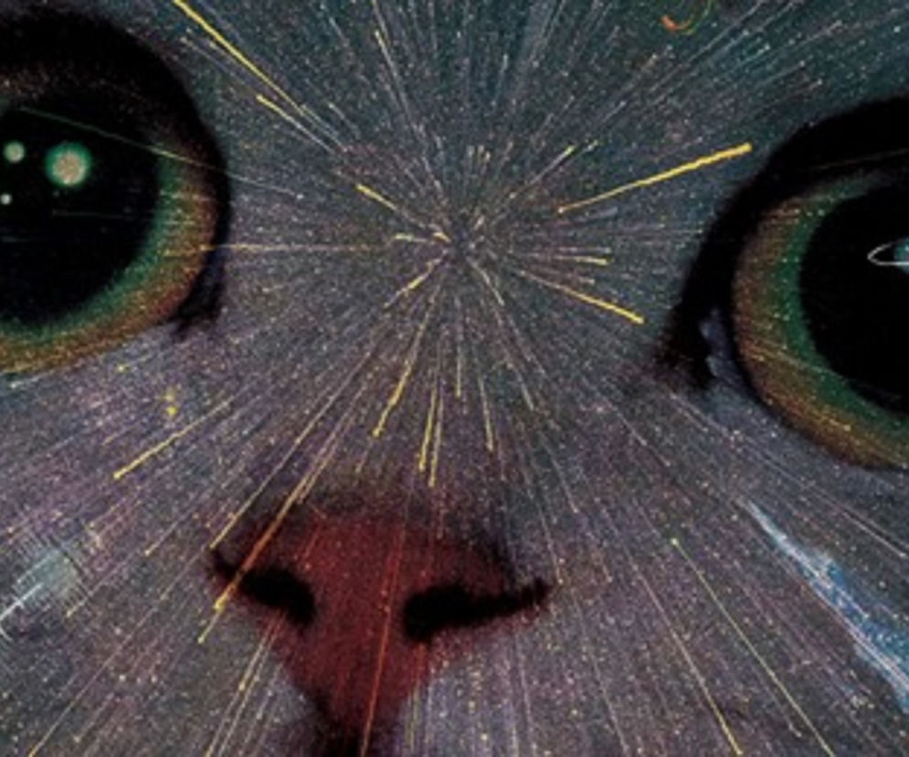 Łukasz Lamża, Światy równoległe czego uczą nas płaskoziemcy homeopaci i różdżkarze