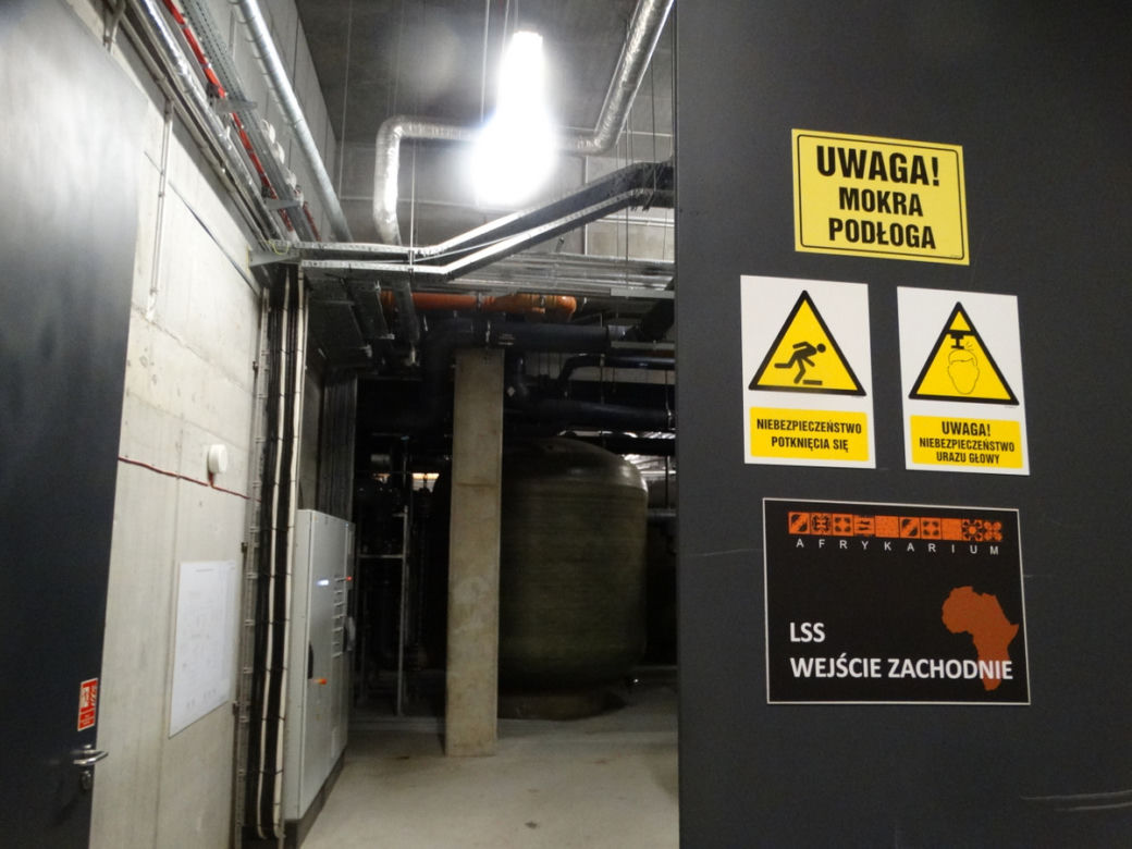 Wrocławskie Afrykarium od kuchni