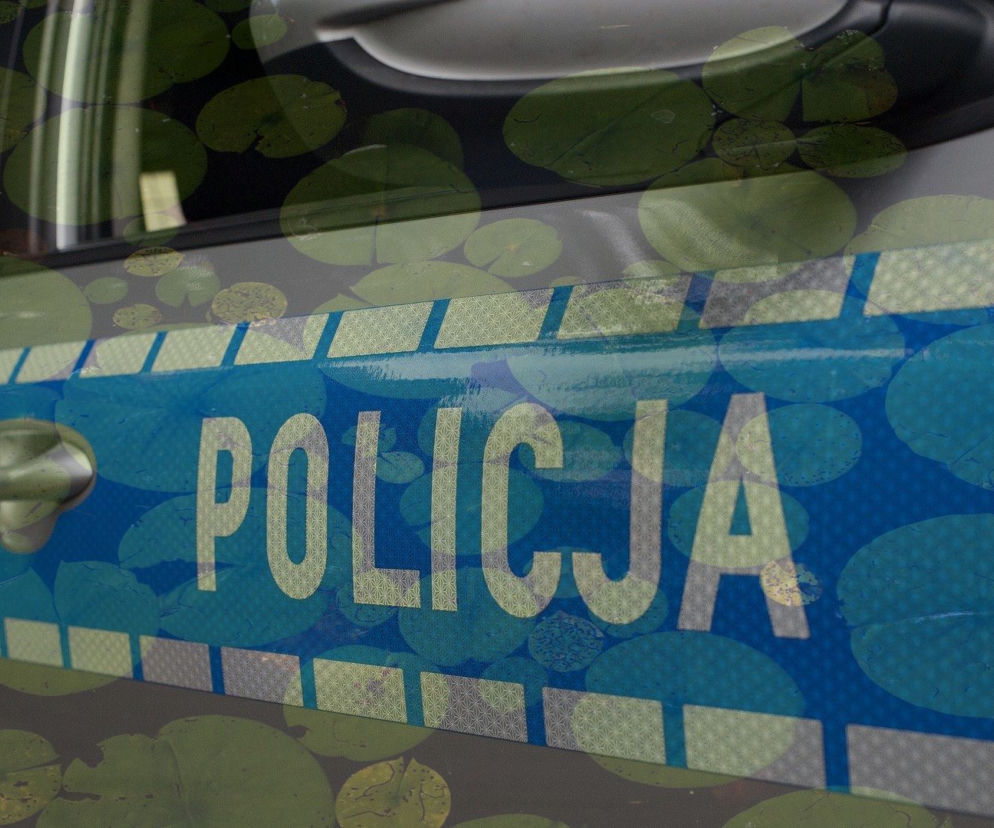 Wskoczył do stawu uciekając przed policją