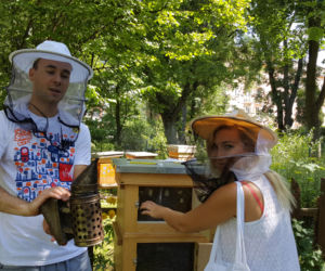 Wielki Dzień Pszczół w Bydgoszczy