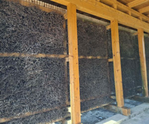 Ruszył sezon na tężni solankowej w Krynkach.  Mały Ciechocinek przyciąga turystów