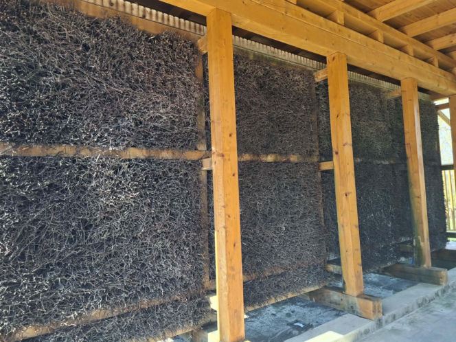 Ruszył sezon na tężni solankowej w Krynkach. " Mały Ciechocinek" przyciąga turystów