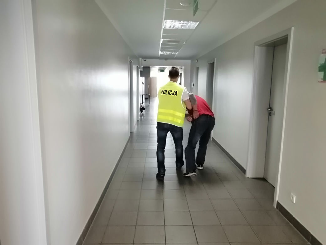 Łódzkie: Miały rosnąć pomidory, rosła MARIHUANA! 63-latek miał FABRYKĘ narkotyków 