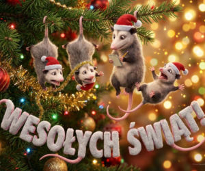 Gotowe życzenia na Boże Narodzenie 2025. Idealne dla rodziców, dzieci i znajomych z pracy