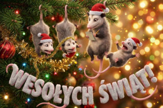 Gotowe życzenia na Boże Narodzenie 2025. Idealne dla rodziców, dzieci i znajomych z pracy