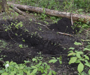 Przyjaciele strzelali do Kornelii, dusili ją i zakopali