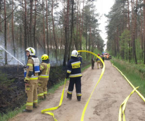 Podpalacz grasuje pod Pleszewem?! Ktoś chyba świetnie się bawi