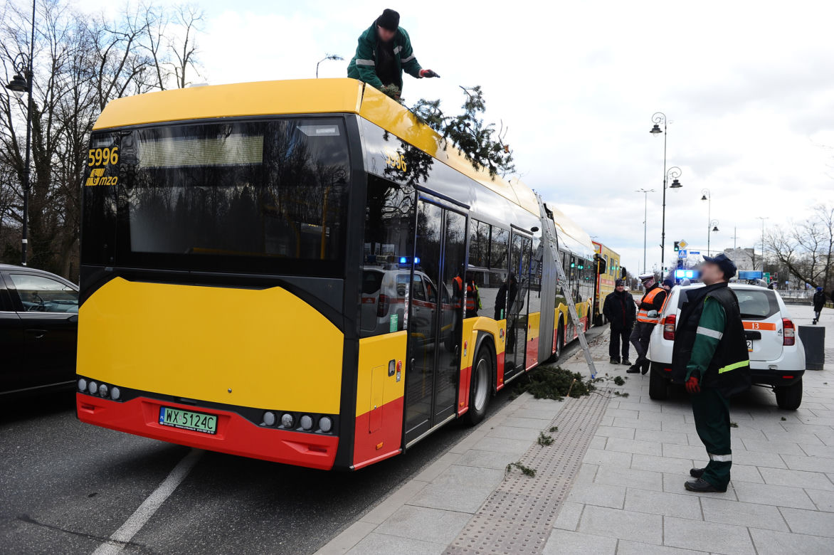 Warszawa: Al Ujazdowskie, potężne drzewo spadło na autobus i zablokowało ulicę