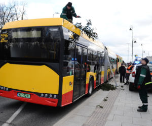 Warszawa: Al Ujazdowskie, potężne drzewo spadło na autobus i zablokowało ulicę