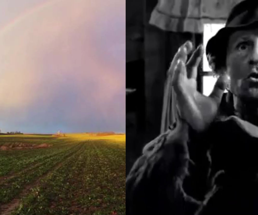 Czy LGBT zagraża polskiemu rolnikowi?  