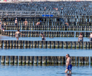 Nowe rekordy temperatur w Europie! Jeszcze gorzej niż w Polsce