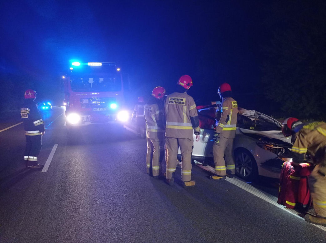 Poseł PiS uległ strasznemu wypadkowi! W jego auto uderzył łoś