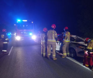 Poseł PiS uległ strasznemu wypadkowi! W jego auto uderzył łoś