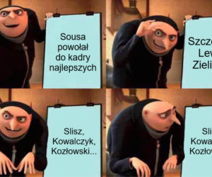 Reakcja internautów na powołania Sousy