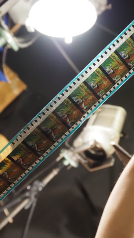 Jak powstaje film rysunkowy? To ogrom pracy i zaangażowania wielu osób