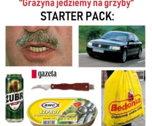 Trwa sezon na grzyby! Oto najlepsze memy o grzybiarzach!