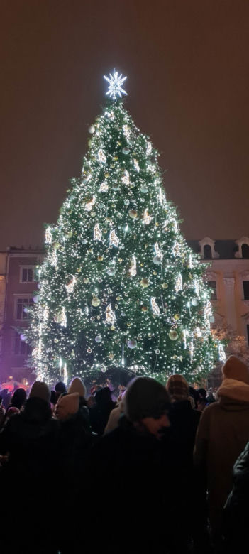 Choinka na Rynku Głównym w Krakowie