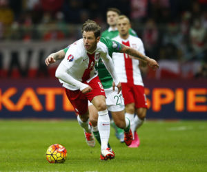 Grzegorz Krychowiak