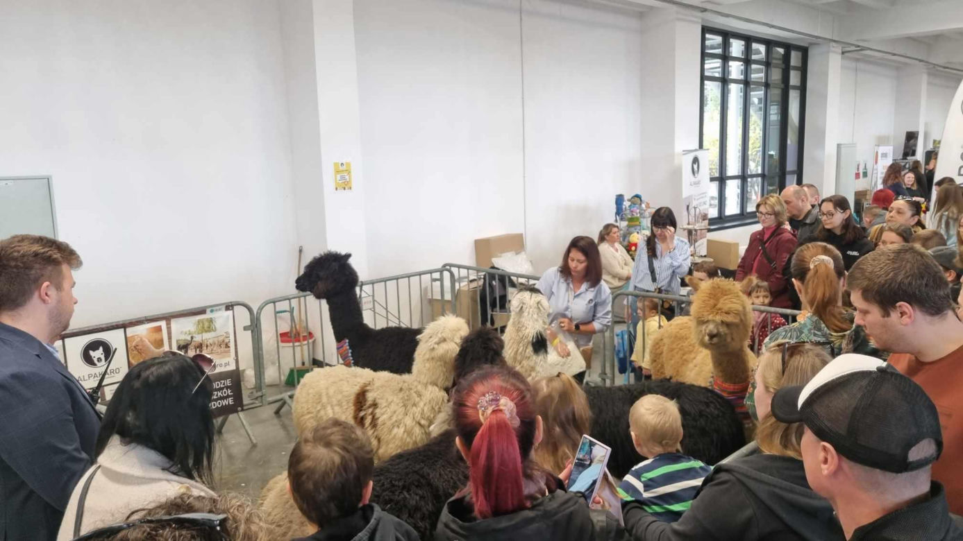 Targi Exotic Fest odbyły się w Poznaniu