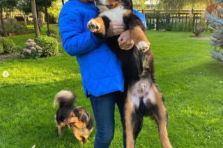 Katarzyna Dowbor w żałobie po Stefanie