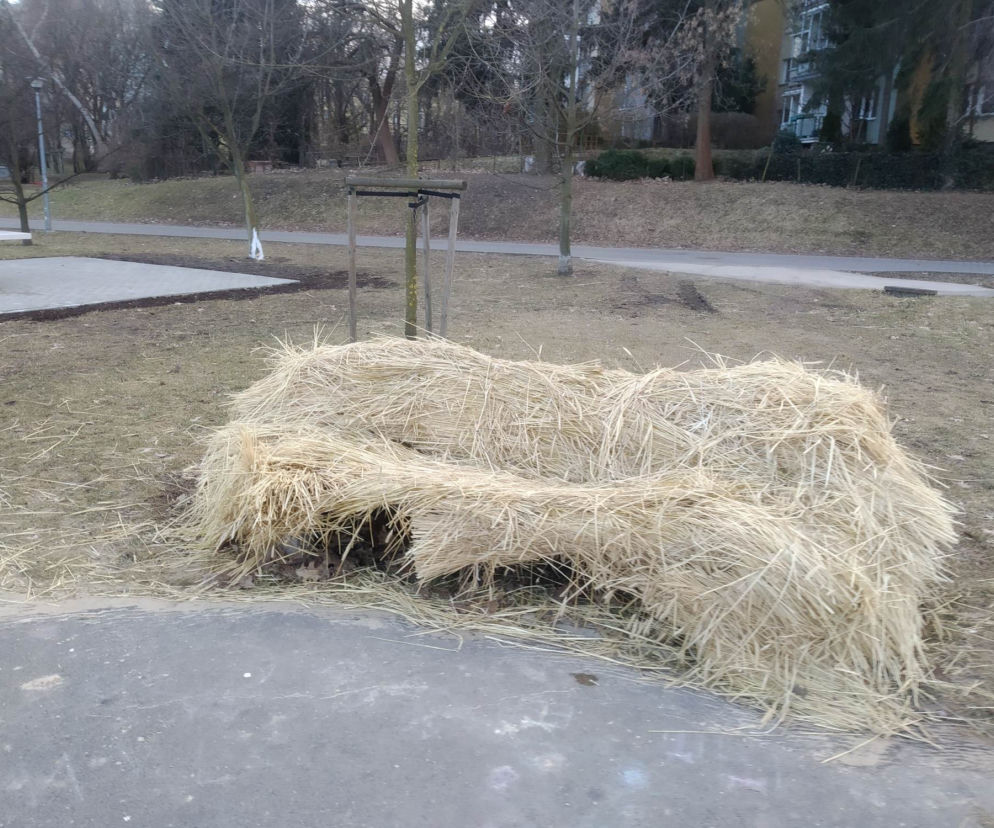 Śniegu nie ma, słoma na Kopie Cwila pozostała. Mieszkańcy mówią: Mamy dość!