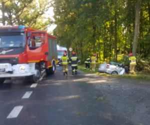 Pijany kierowca przyrżnął kabrioletem w drzewo