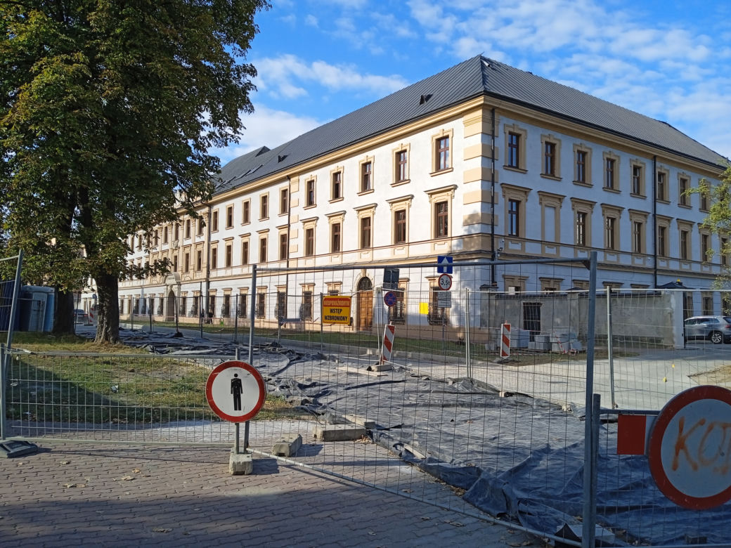 Nasadzenia drzew przy ulicy Piłsudskiego