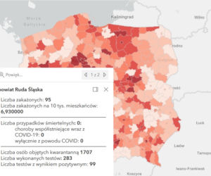 Koronawirus w województwie śląskim. Tak wygląda sytuacja w poszczególnych powiatach [RAPORT, 19 MARCA]