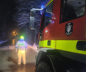 Śnieg przewrócił drzewo i zerwał linię energetyczną