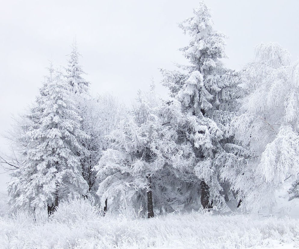 ZIMA w pierwszy dzień WIOSNY! Zobacz, gdzie spadnie ŚNIEG! [PROGNOZA POGODY]