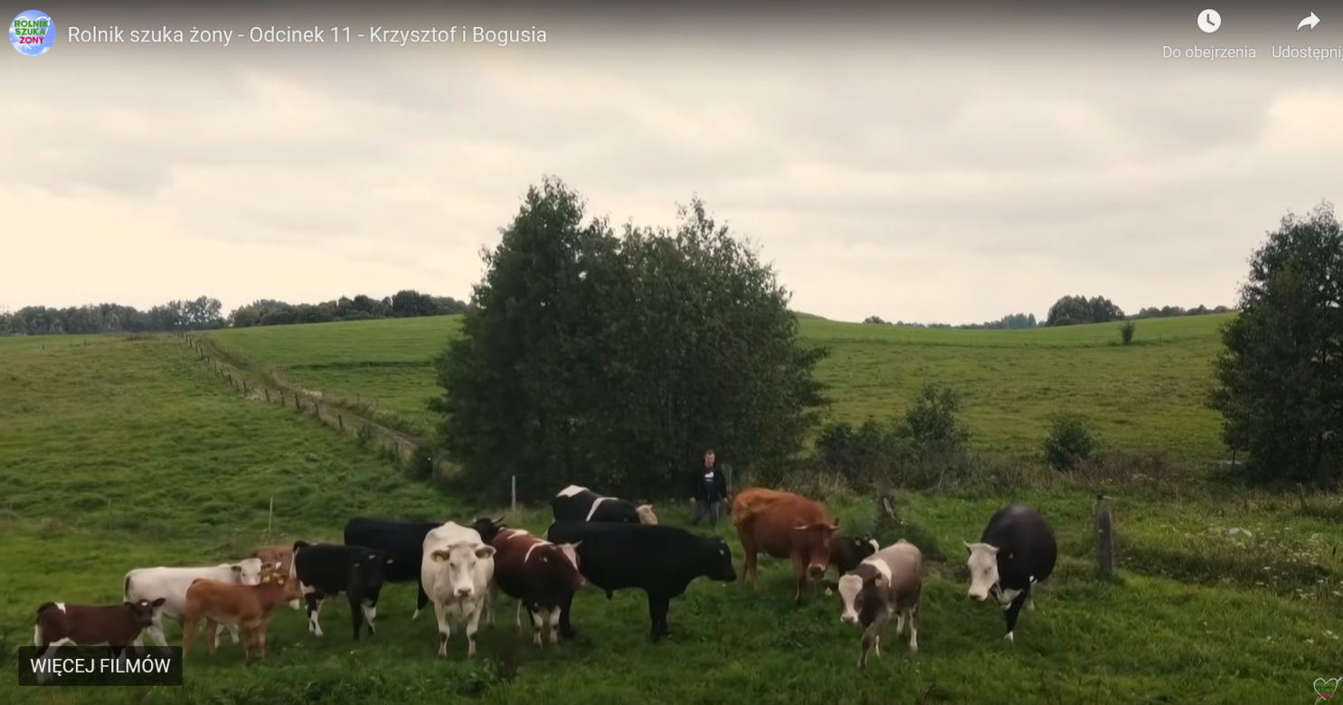 Dom Krzysztofa z "Rolnik szuka żony"