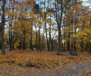 Park 1000-lecia w Lesznie na chwilę przed zachodem słońca