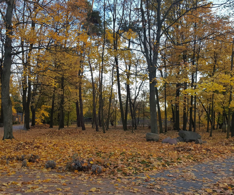 Park 1000-lecia w Lesznie na chwilę przed zachodem słońca