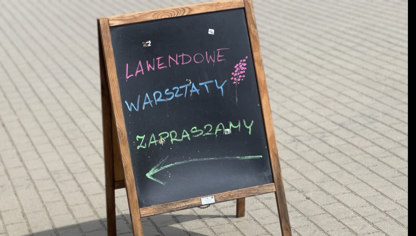 Eska Summer City Poznań: Tak bawiliśmy się w weekend 21-23 lipca	