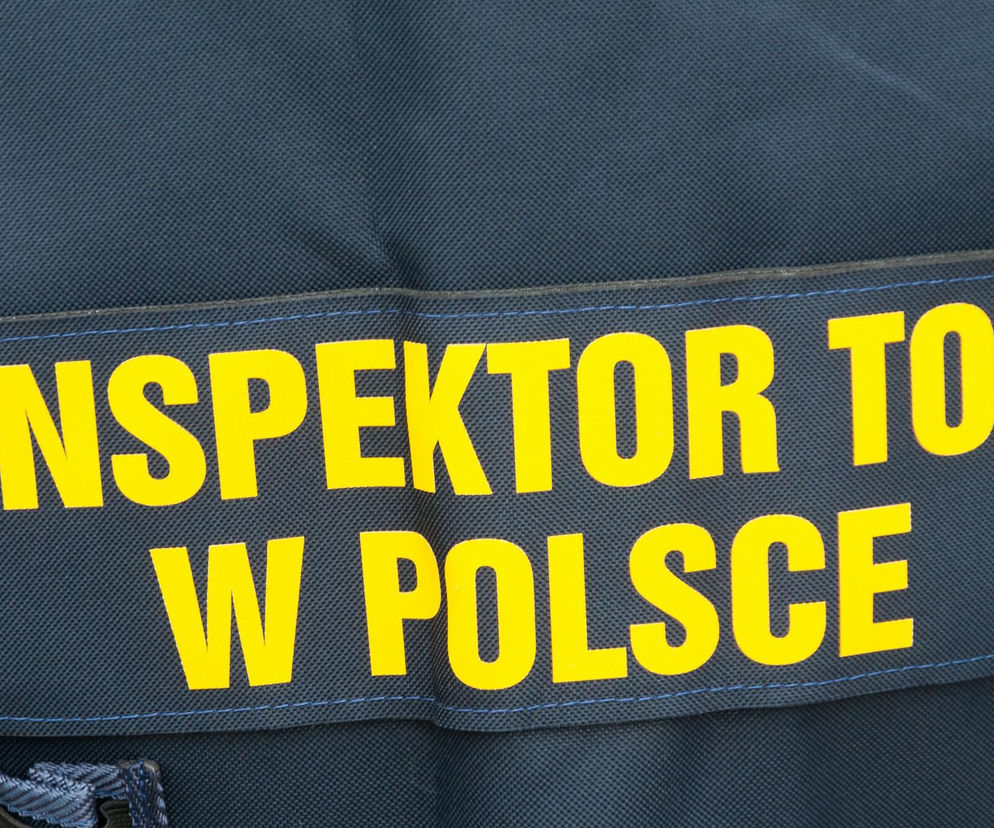 Potrzebni mężczyźni do ratowania zwierząt. TOZ Katowice ma nietypowy apel