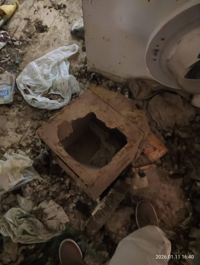 Interwencja inspektorów TOZ z Katowic w Sosnowcu