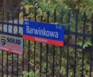 Oto najbardziej wiosenne ulice w stolicy! Tu wiosna trwa cały rok!